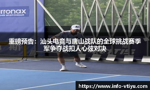 v体育官方网站