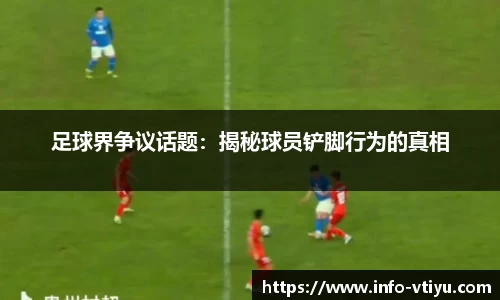 v体育官网