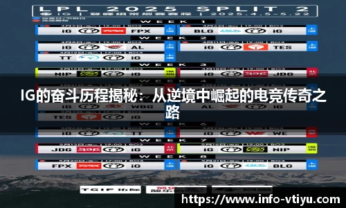 v体育官方网站